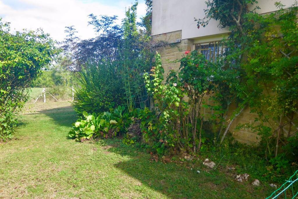 Les Petits Self Contained 2 Bedroom Apartment Molieres (Dordogne) Exterior photo